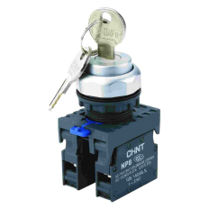 Переключатель с ключом NP8-11Y/21 , 2 положения с фиксацией, 1НО+1НЗ IP65 (R), фото